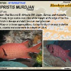 Myripristis murdjan - Blotcheye soldierfish