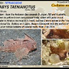 Ablabys taenianotus - Cockatoo waspfish