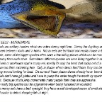 Moray eels info