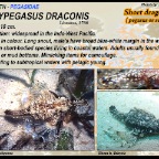 Eurypegasus draconis -  Seamoth